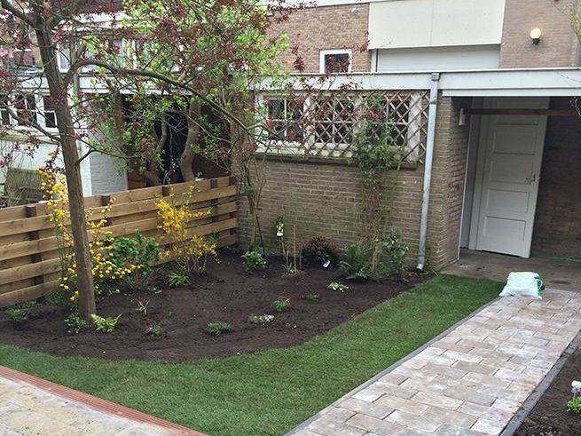 Voortuin met grijs tegelpad en gras aan de linkerkant. Daarnaast een stukje grond zonder onkruid.